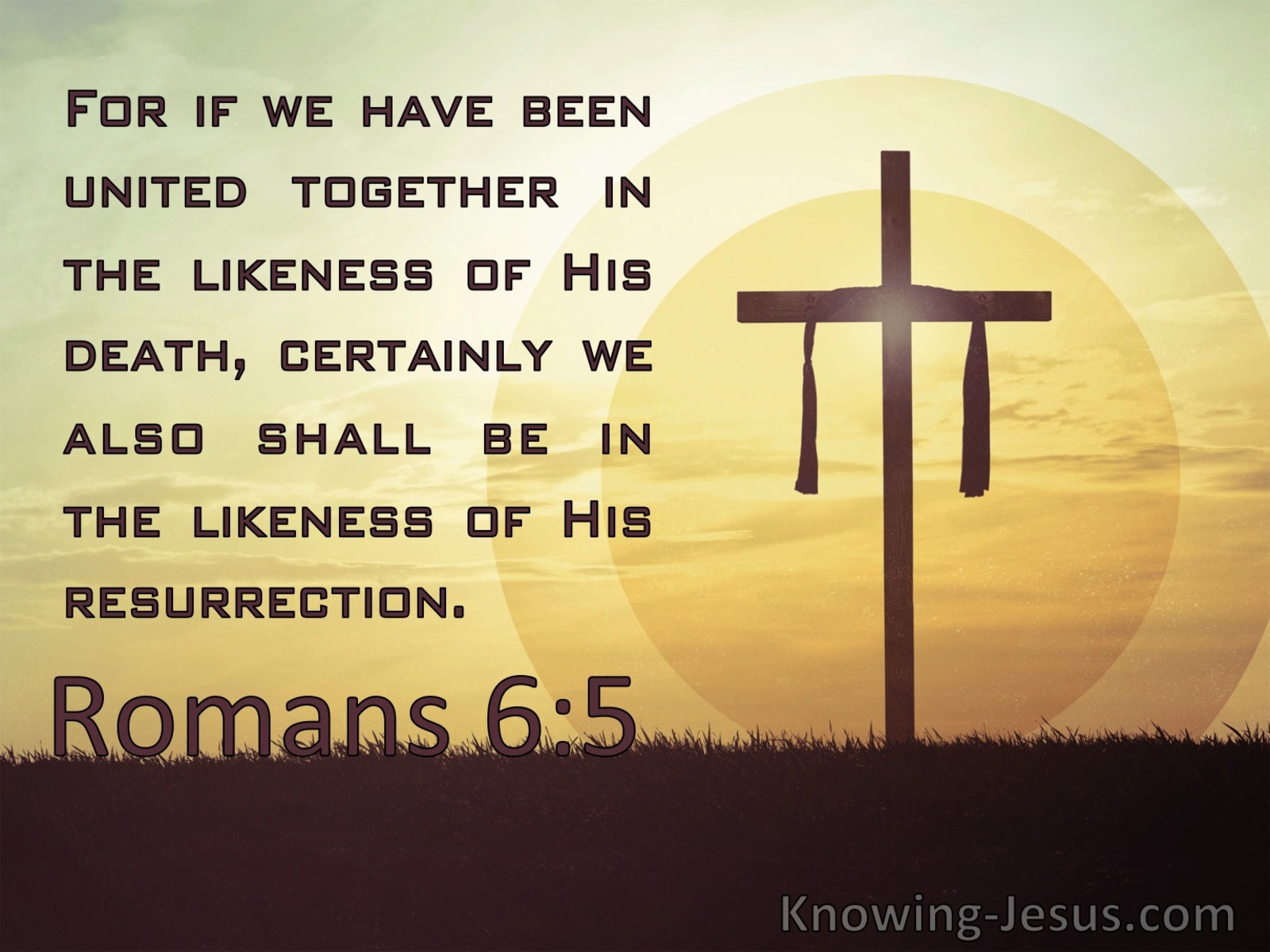 Romans 6:5 United With Christ In The Likeness Of His Death (brown)